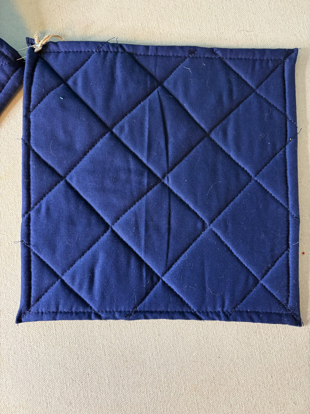 Summer Fruit Potholder
